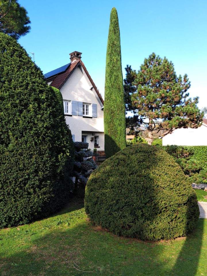 Entretien jardin38