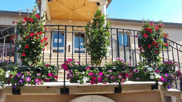 Réalisation d’aménagements paysagers Saint-Pierre-de-Chandieu