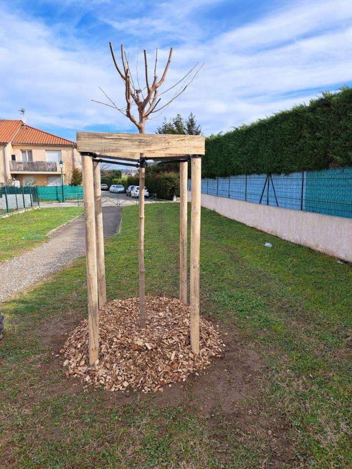 Plantation espace public